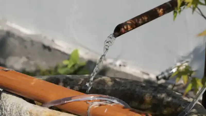 How to Enhance Your Pond with Easy Add-On Features